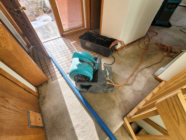 Trusted Delft Colony, CA Water damage restoration Experts