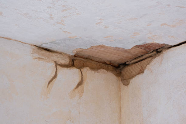 Best Water damage contractors near me  in Delft Colony, CA