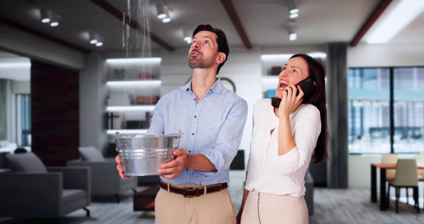 Best Water damage cleanup near me  in Delft Colony, CA