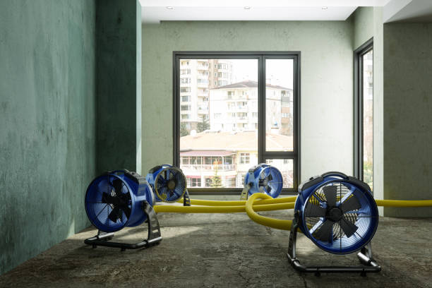 Best Water damage restoration near me  in Delft Colony, CA